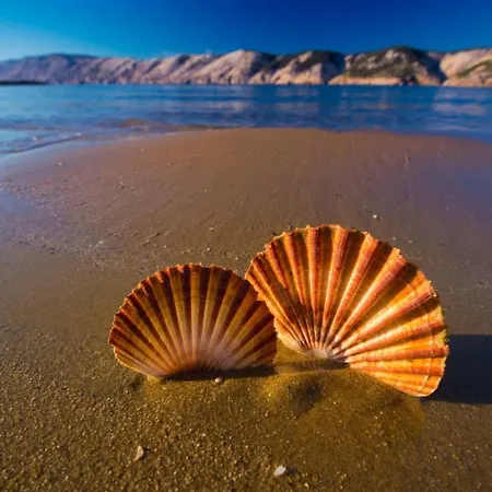 In With Terrace, Air Conditioning, Wifi, Dishwasher * Lopar